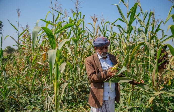 أولويات
      اليمن
      التنموية
      على
      طاولة
      «البنك
      الدولي»