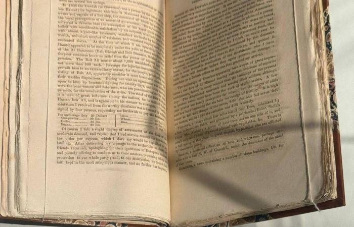 فنانون
      مصريون
      يدعمون
      هاني
      شاكر
      في
      أزمته
      الصحية