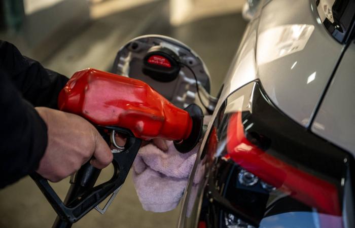 الصادرات
      الألمانية
      تسجل
      أكبر
      انخفاض
      لها
      منذ
      مايو
      2024