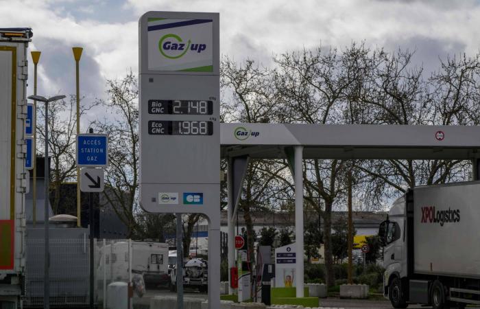 شبح
      «السبعينات»
      يطارد
      الأسواق:
      هل
      يدخل
      الاقتصاد
      نفق
      الركود
      التضخمي؟