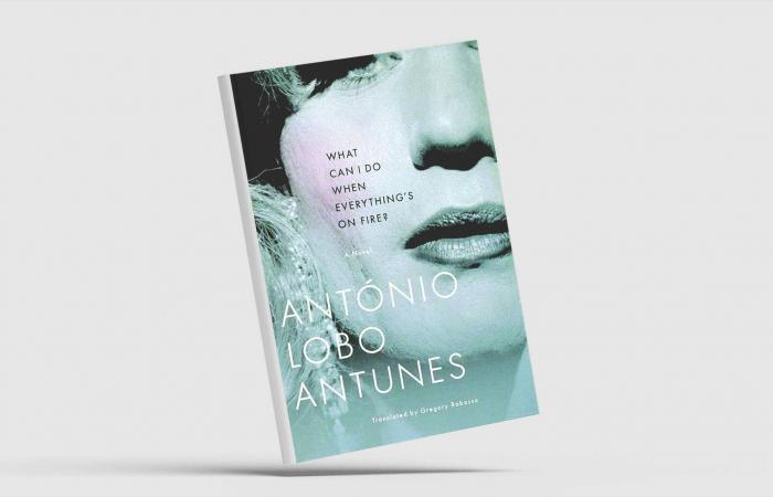 الغموض
      والتشويق
      في
      رواية
      إنجليزية