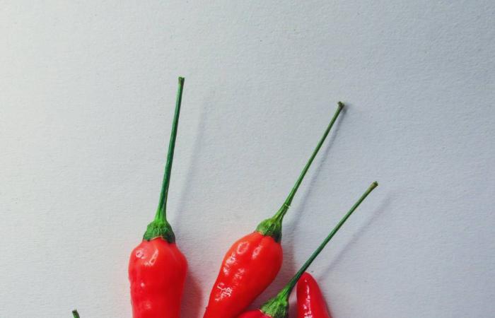 ما
      تأثير
      تناول
      الفلفل
      الحار
      على
      صحة
      القلب؟