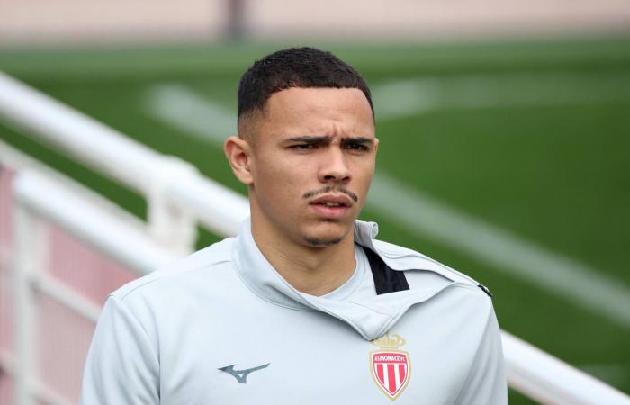 البرازيليان
      فاندرسون
      وإنريكي
      يغيبان
      عن
      «موناكو»
      عدة
      أسابيع