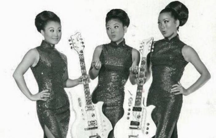 إهداء
      من
      فيرجينيا
      وولف
      لطبّاختها
      يظهر
      في
      مزاد