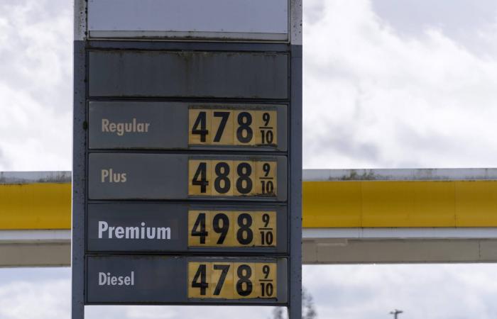 خطة
      «وكالة
      الطاقة»...
      هل
      تنجح
      براميل
      «الاحتياطي»
      في
      تهدئة
      أسعار
      النفط؟