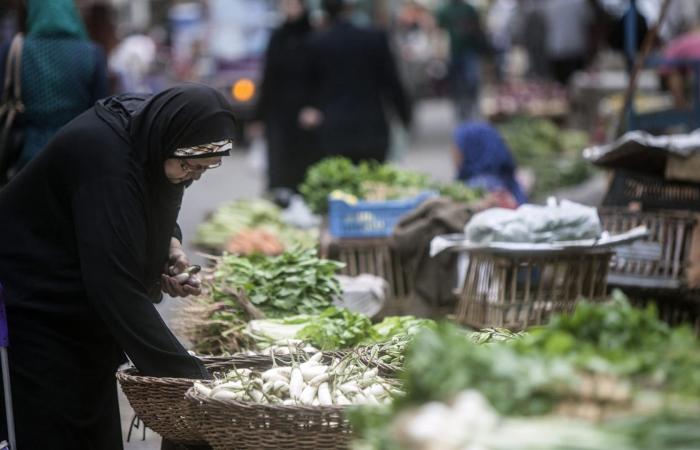 مصر: معدل التضخم السنوي ارتفع قبيل حرب إيران.. خبراء يوضحون
