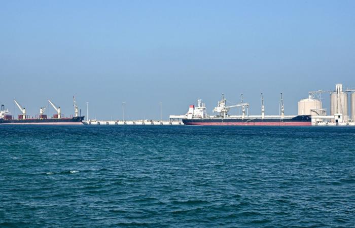 السعودية تحول التجارة إلى موانئها الغربية لتجنب مضيق هرمز