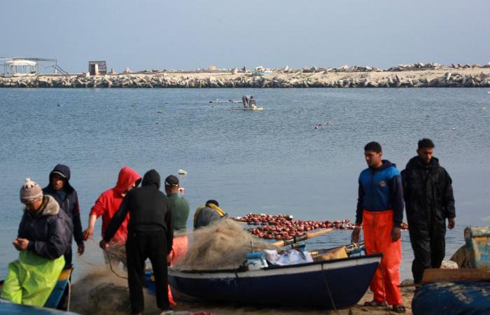 رئيس
      الحكومة
      اللبنانية:
      لا
      تراجع
      عن
      قرار
      إنهاء
      مغامرة
      الإسناد
      الجديدة