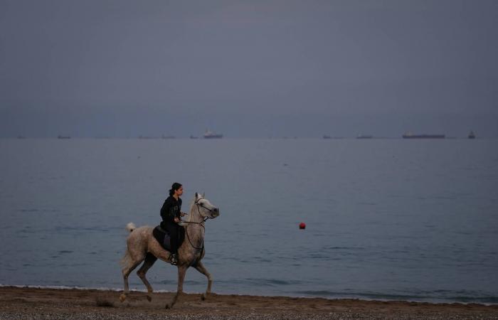 لماذا
      أخفقت
      أكبر
      عملية
      إطلاق
      نفطي
      بالتاريخ
      في
      تهدئة
      الأسواق؟