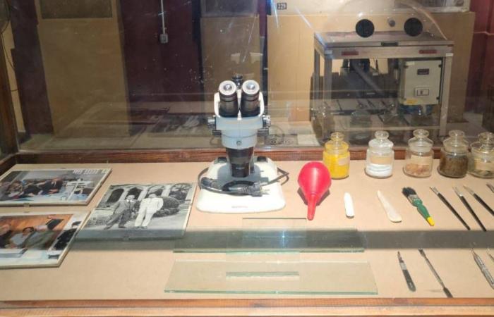 «المتحف
      المصري»
      يحتفي
      بكنوز
      الأجداد
      في
      معرض
      «ترميم
      البردي»