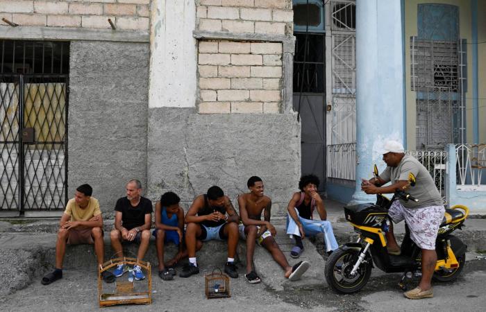 قافلة
      دولية
      تحمل
      20
      طناً
      من
      المساعدات
      الإنسانية
      لكوبا