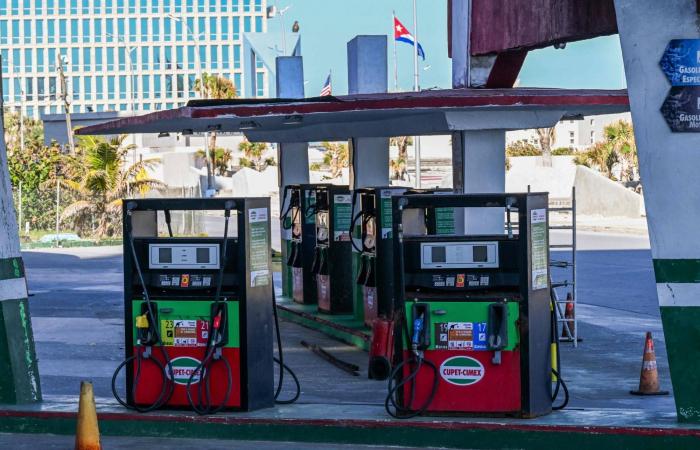 البرازيل
      تلغي
      تأشيرة
      دبلوماسي
      أميركي
      أراد
      زيارة
      بولسونارو