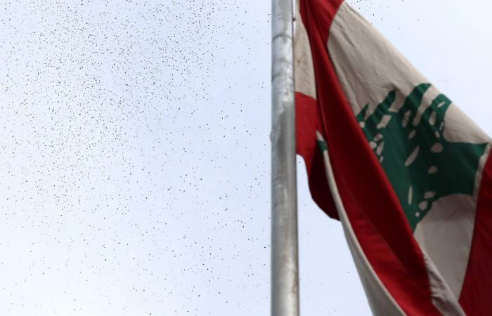 السفير
      البابوي
      في
      جنوب
      لبنان
      دعماً
      لصمود
      المسيحيين