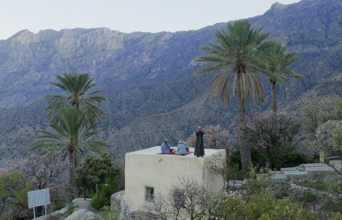 "كأنّه حلم".. مشهد إفطار رمضاني بين زهور المشمش في سلطنة عُمان