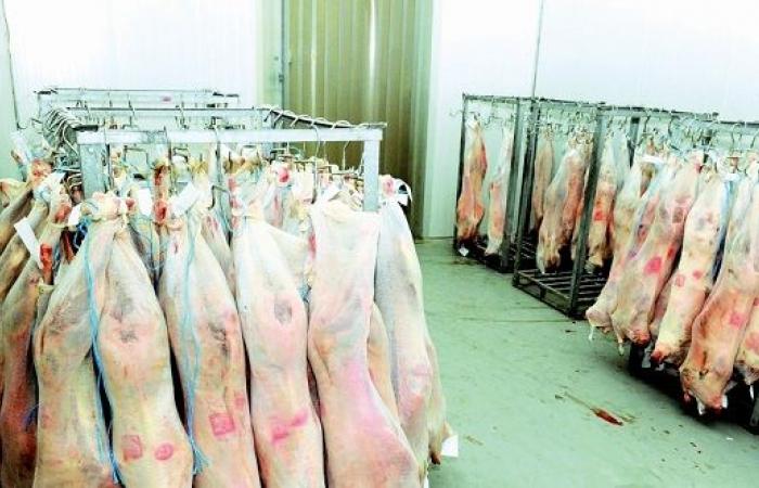 فهد الخلف لـ "الشرق": إجراءات جديدة لضمان استمرارية سلاسل التوريد