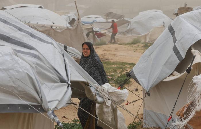 مجاعة
      جديدة
      تهدد
      غزة
      وسط
      تصعيد
      عسكري
      إسرائيلي