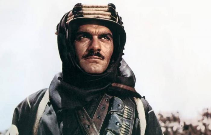 ترشيحات
      كثيرة
      وجوائز
      معدودة...
      إنجازات
      عربية
      في
      تاريخ
      «الأوسكار»