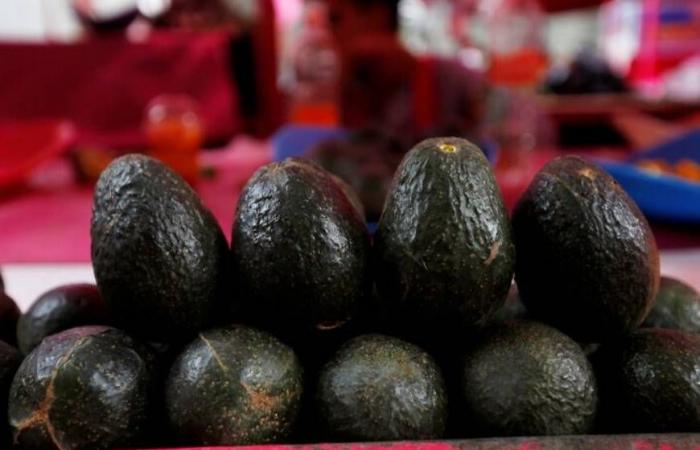 أطعمة
      بديلة
      عن
      مكملات
      الألياف