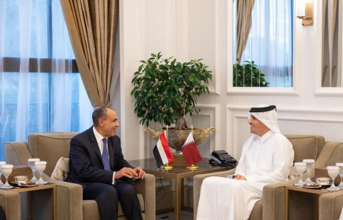  رئيس الوزراء وزير الخارجية يستقبل وزير الخارجية المصري