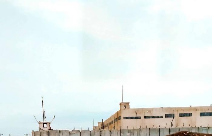 دمشق
      تعمل
      مع
      «قسد»
      على
      إغلاق
      ملف
      المعتقلين
      السياسيين