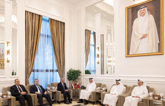  رئيس الوزراء وزير الخارجية يستقبل وزير الخارجية المصري