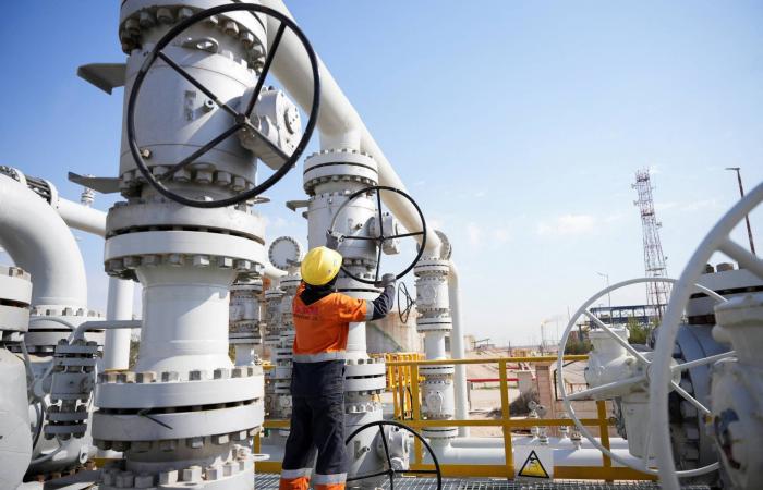 ضبط
      مستودع
      ضخم
      للسلاح
      على
      الحدود
      السورية
      مع
      العراق...
      واستهداف
      خلايا
      «داعش»