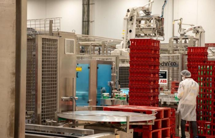 وزير البلدية يطلع على سير العمل وإجراءات تعزيز جاهزية سلاسل الإمداد في شركة بلدنا