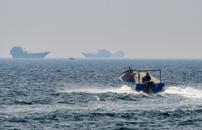 الإمارات تعلن موقفها بشأن المشاركة في حل أزمة مضيق هرمز