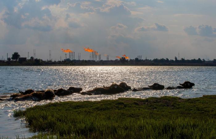 «ستاندرد
      آند
      بورز»:
      انخفاض
      إنتاج
      النفط
      يضع
      تصنيف
      العراق
      تحت
      «المراقبة
      السلبية»