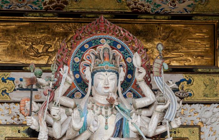 جزيرة أرانب وشجرة تحقق الأمنيات.. هذا ما ينتظرك في أرخبيل ياباني ساحر