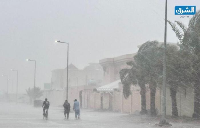 الأرصاد تحذر من أمطار رعدية على الساحل ورياح قوية في البحر نهارا