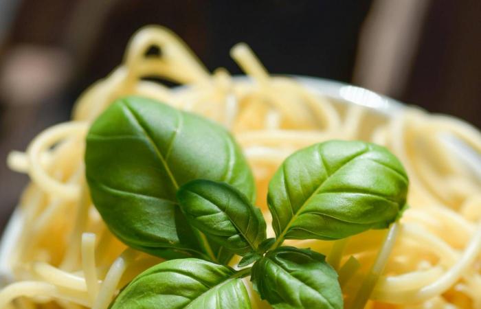 دراسة:
      «المواد
      الكيميائية
      الدائمة»
      في
      أواني
      الطهي
      والسجاد
      تؤثر
      على
      نمو
      عظام
      الأطفال