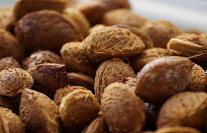 ما
      تأثير
      تناول
      اللوز
      على
      مستويات
      السكر
      في
      الدم؟