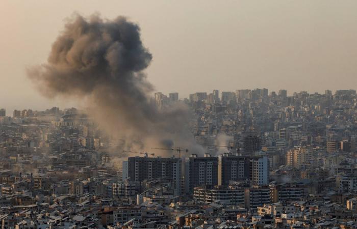 زامير:
      هجمات
      المستوطنين
      بالضفة
      «غير
      مقبولة
      أخلاقياً»