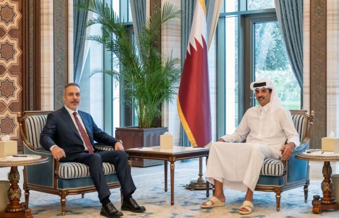 سمو الأمير يستقبل وزير الخارجية التركي