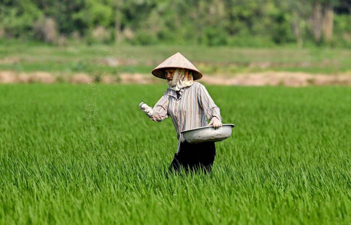 خبز
      العالم
      في
      «مرمى
      النيران»...
      أزمة
      الأسمدة
      تخنق
      مزارع
      الكوكب