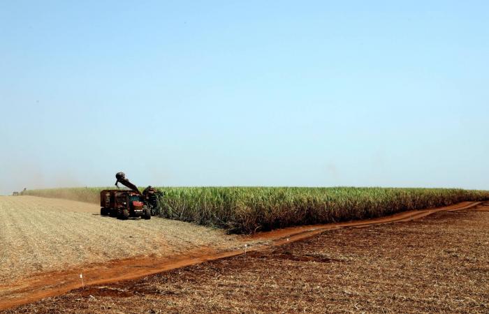 ارتفاع
      عوائد
      الخزانة
      الأميركية
      مع
      إعادة
      تسعير
      الأسواق
      لمسار
      الفائدة