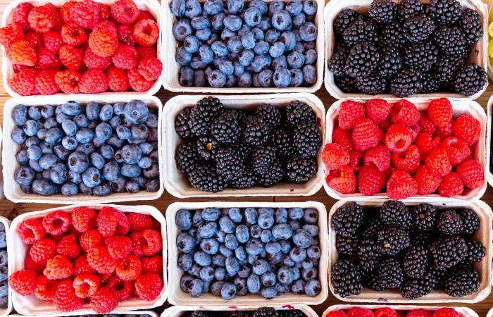 نظام غذائي يُبطئ شيخوخة الدماغ لأكثر من عامين.. ما أبرز الأطعمة فيه؟