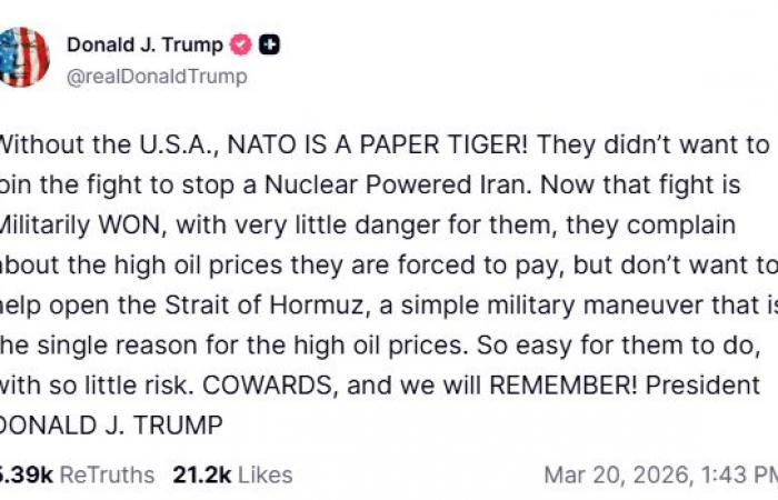 ترمب
      يتّهم
      حلفاءه
      بـ«الجبن»