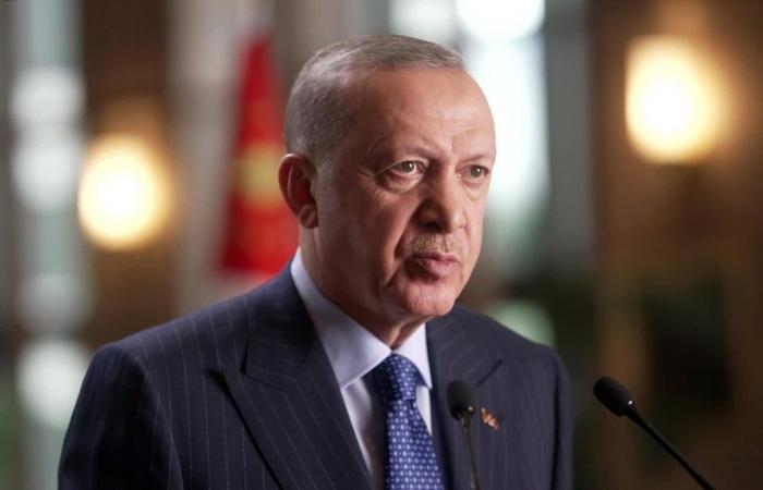 الرئيس التركي: نحشد كل إمكاناتنا لتحقيق السلام والاستقرار بالمنطقة