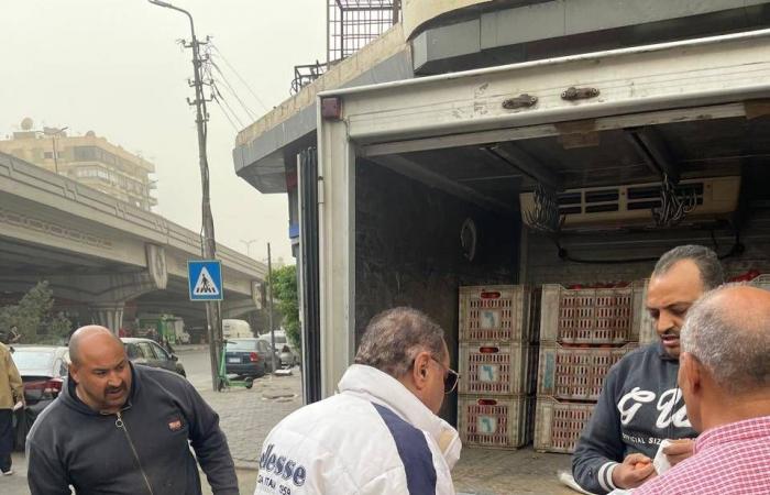 حملات
      ضبط
      الأسعار
      في
      مصر...
      «ضجيج
      بلا
      تأثير»