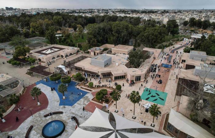 احتفالات
      الليبيين
      بالعيد
      تتجاهل
      «صراعات
      السياسة»
      و«التوترات
      الاجتماعية»