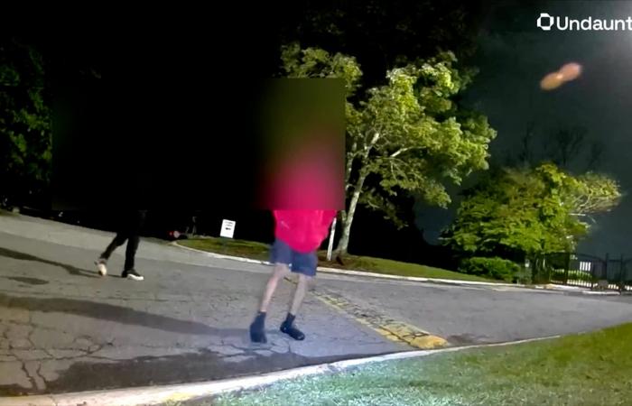 فيديو يظهر كلبا آليا يطارد لصوصا في الشارع.. تقنية جديدة لمكافحة السرقة في أمريكا