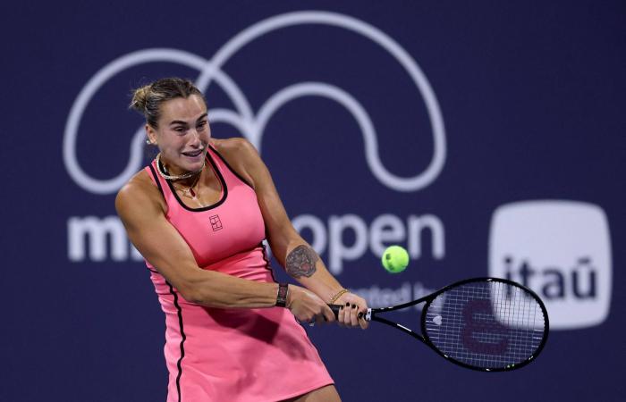 «دورة
      ميامي»:
      غوف
      وسابالينكا
      تواصلان
      التقدم