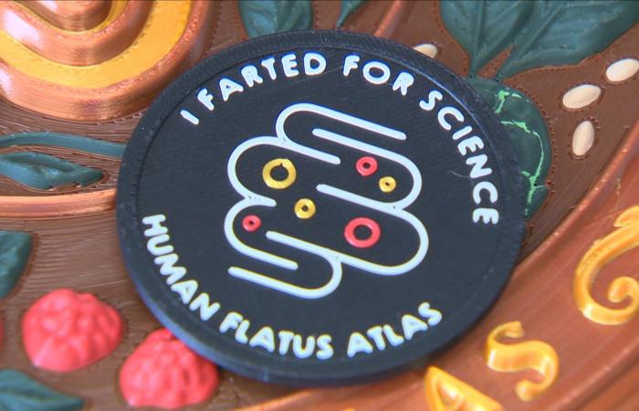 جهاز لقياس غازات الجسم.. كيف يساعدك على تحسين صحتك؟