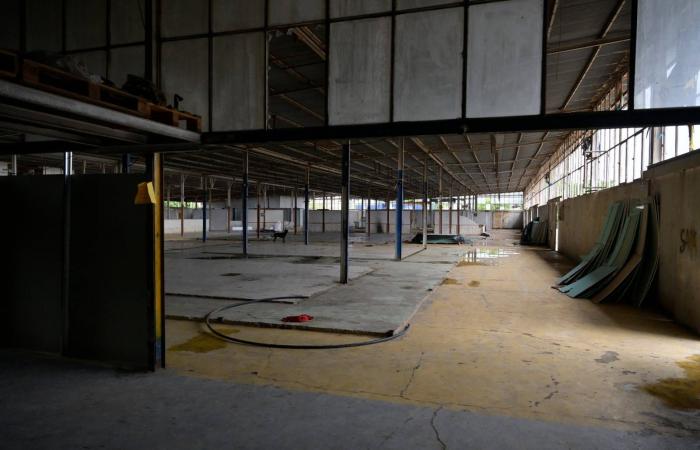 بين
      الهواجس
      الأمنية
      والطائفية:
      رفض
      إقامة
      مركز
      نزوح
      في
      وسط
      بيروت