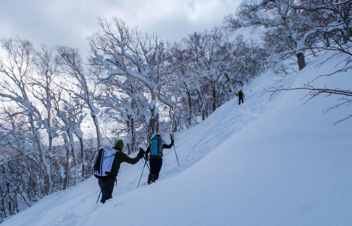 في اليابان.. أصبحت الأمور خارجة عن السيطرة في هذه الجنة الثلجية