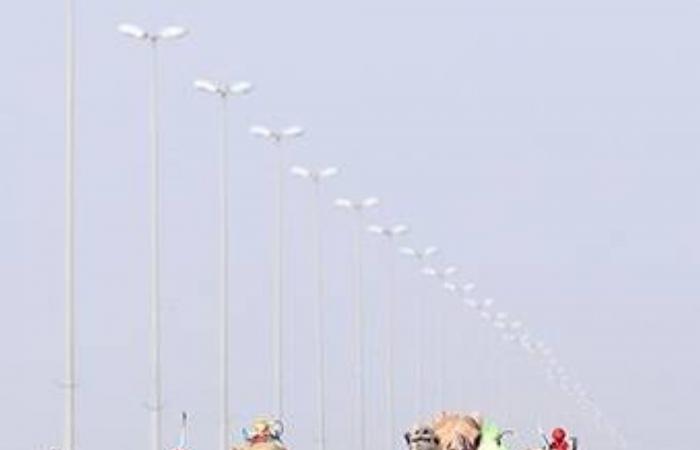 تألق الهجن القطرية في مهرجان ختامي المرموم