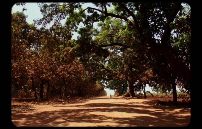 تحويل
      شظايا
      «حجر
      سكون»
      إلى
      خاتم