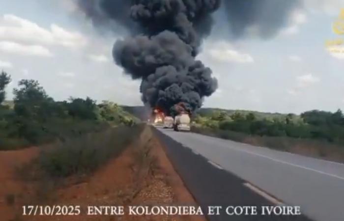 نواكشوط
      تعلن
      فتح
      تحقيق
      في
      مقتل
      موريتانيين
      داخل
      مالي